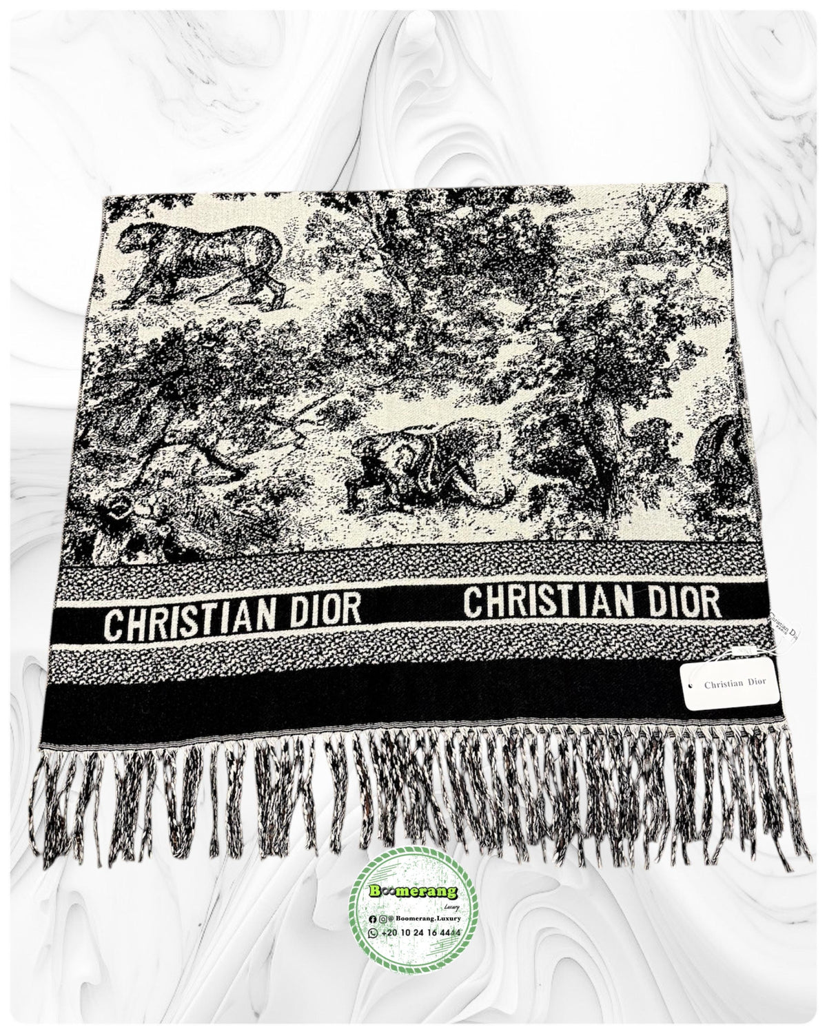 DIOR Scarf