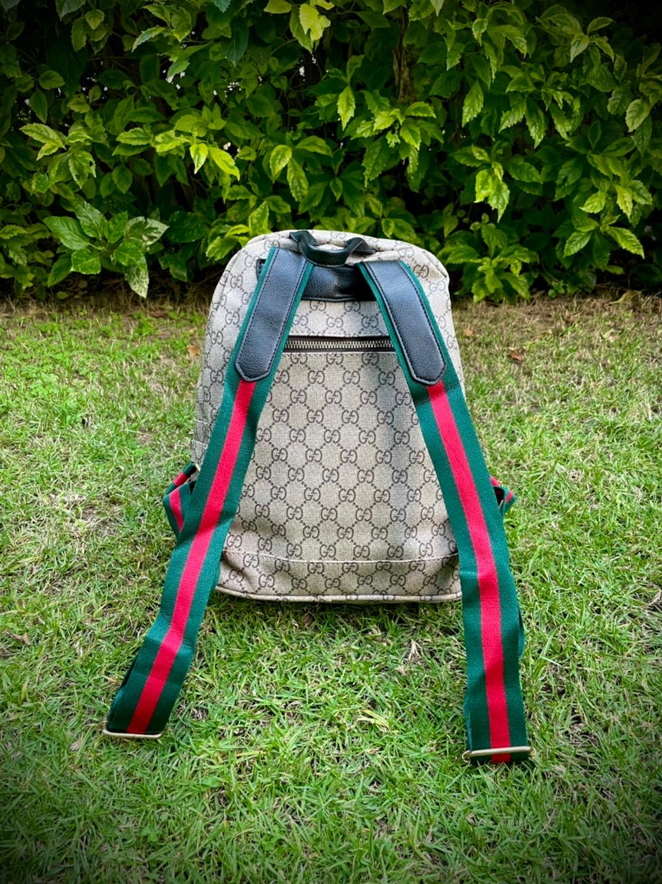 Medium backpack